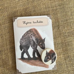 Kit éducatif, la hyène