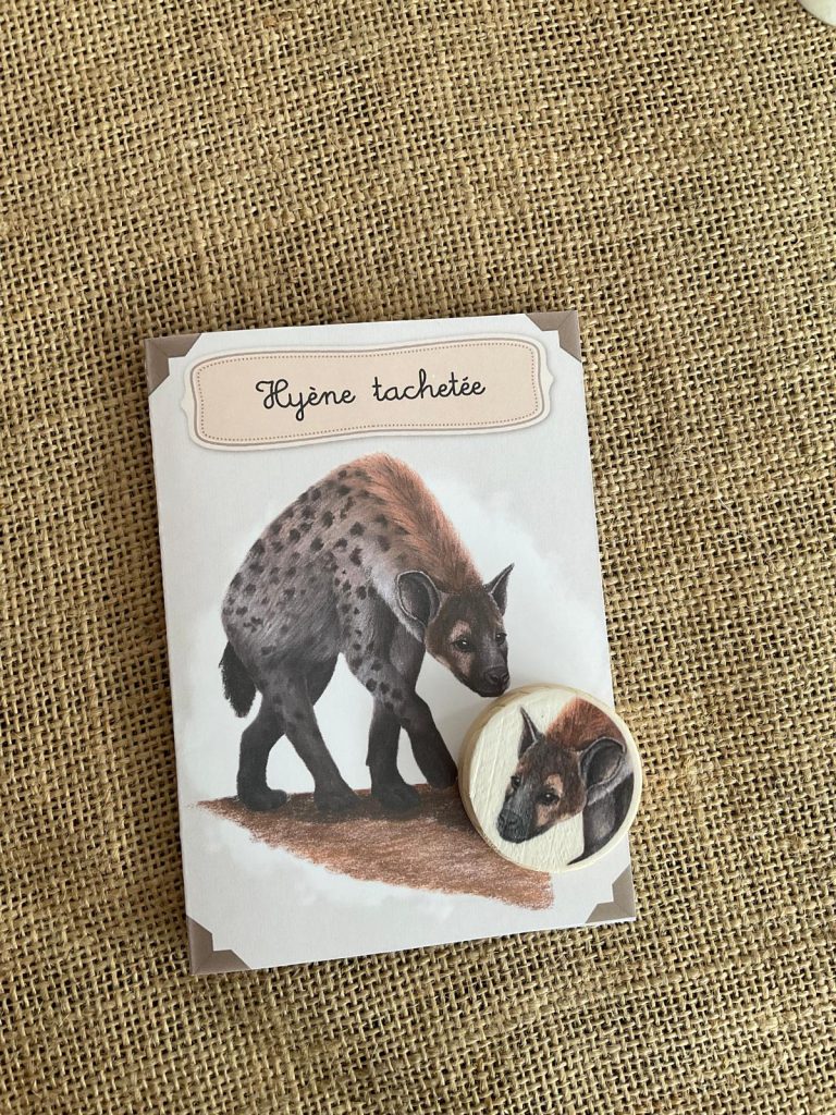 Kit éducatif, la hyène