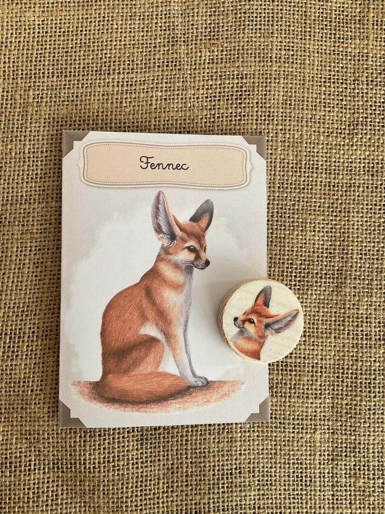 Kit éducatif, le fennec
