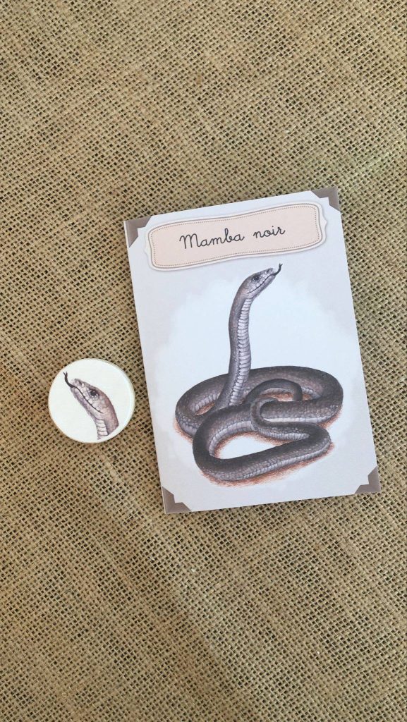 Kit éducatif, le mamba noir