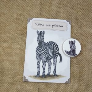Kit éducatif, le zèbre