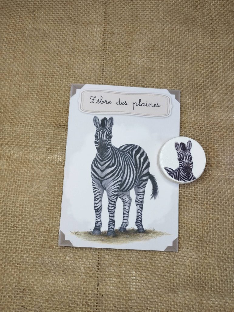 Kit éducatif, le zèbre