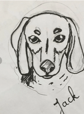 galets peints chiens – Image 4