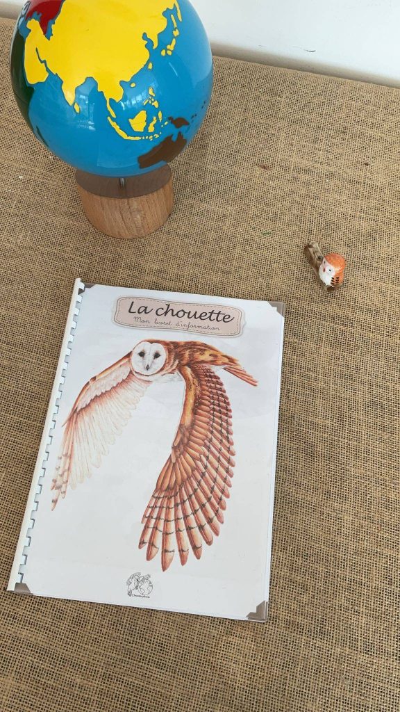 Livret information, la chouette