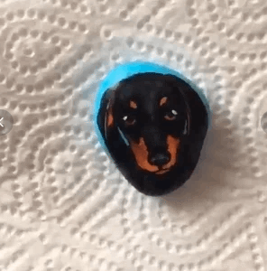 galets peints chiens