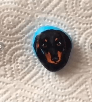 galets peints chiens