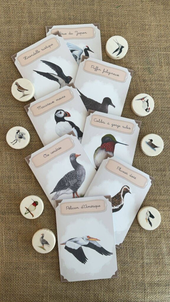 Rondins pédagogiques : oiseaux migrateurs