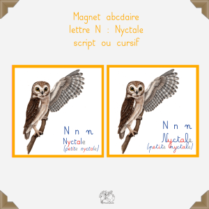 Magnet nyctale