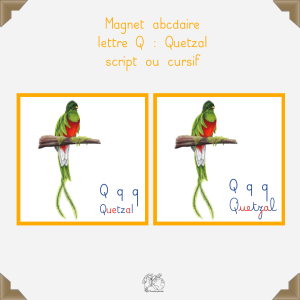 Magnet quetzal