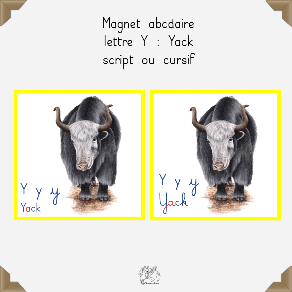 Magnet yack
