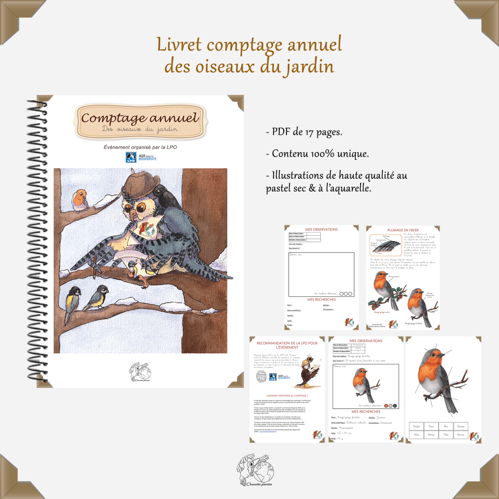 Comptage des oiseaux du jardin