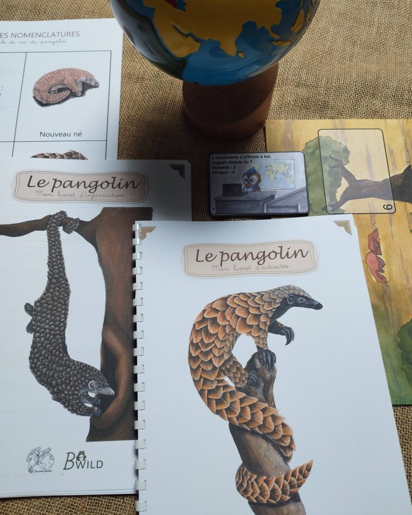 PACK livret information & activités, LE PANGOLIN