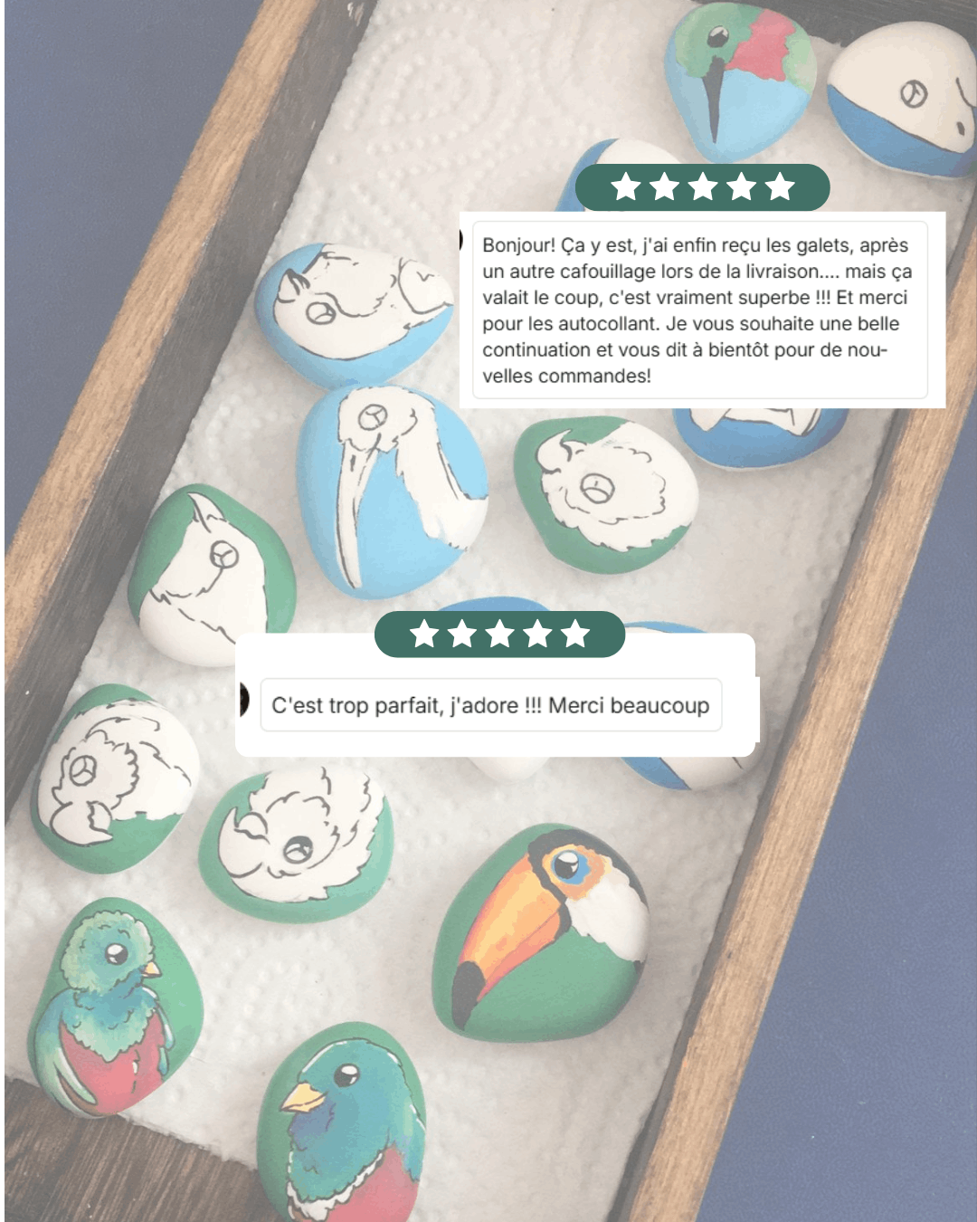 Oiseaux peints sur galets – Image 3