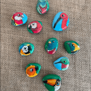 Oiseaux peints sur galets